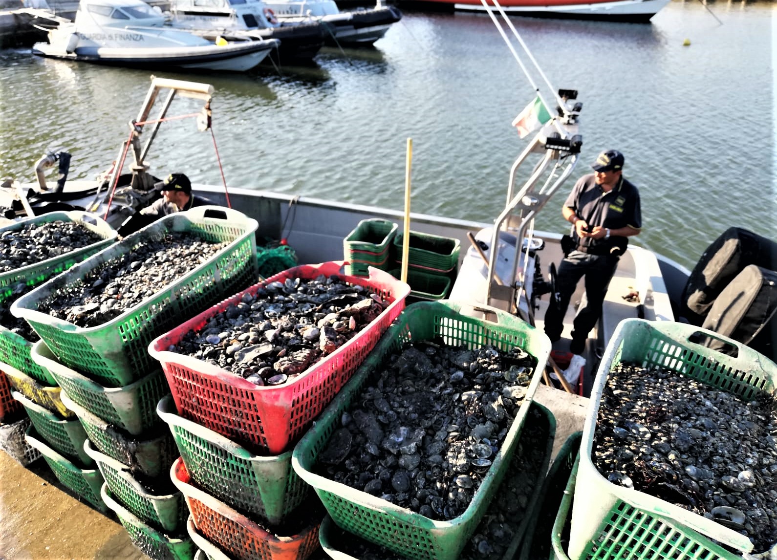 Ravenna, sequestrato un natante per pesca abusiva di ...